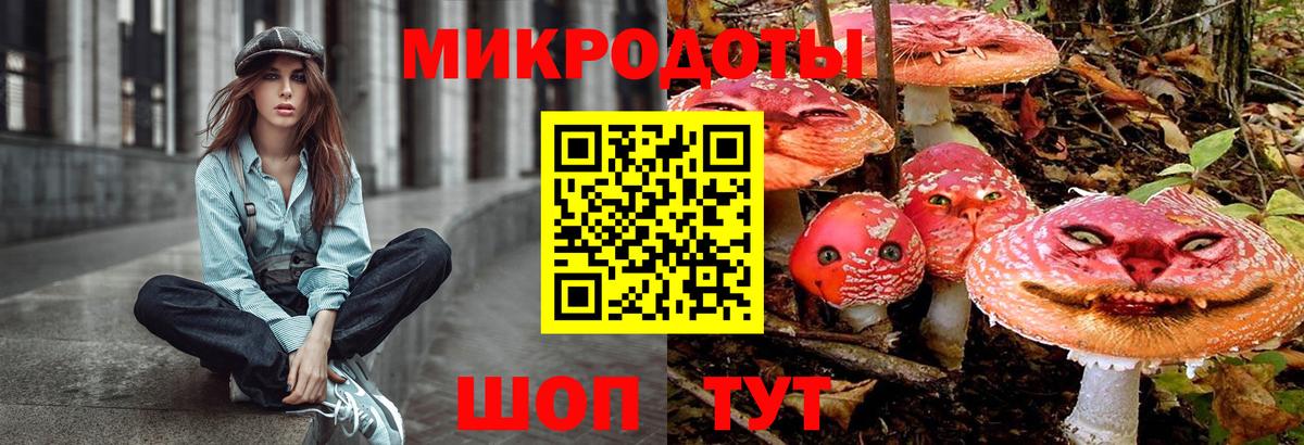 Галлюциногенные грибы мицелий  что такое наркотик  Кисловодск  Псилоцибиновые грибы Psilocybe  Вход с VPN 